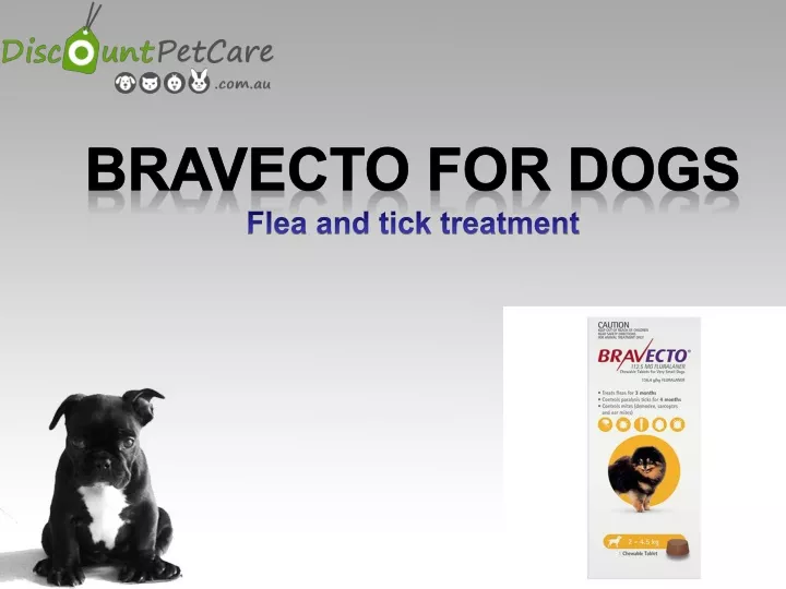 bravecto for dogs flea and tick treatment