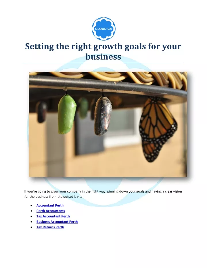 setting the right growth goals for your business