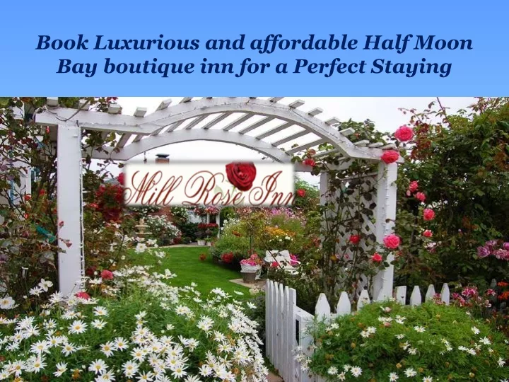 book luxurious and affordable half moon
