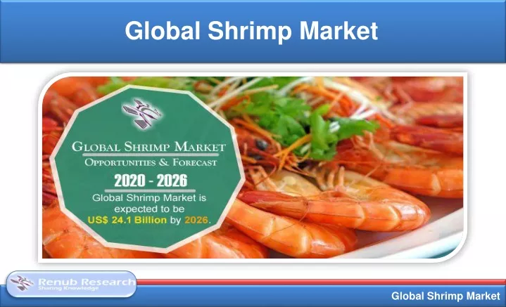 global shrimp market