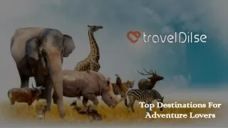 Top Destinations For Adventure Lovers.