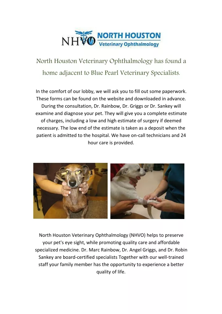 north houston veterinary ophthalmology has found