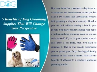 5 Benefits of Dog Grooming Supplies That Will Change Your Perspective
