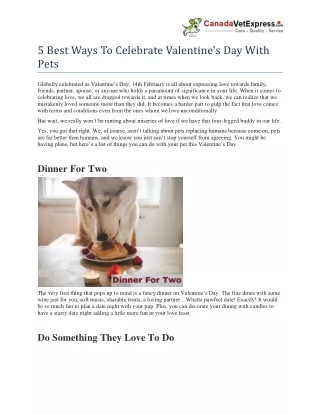 5 Best Ways To Celebrate Valentine's Day With Pets
