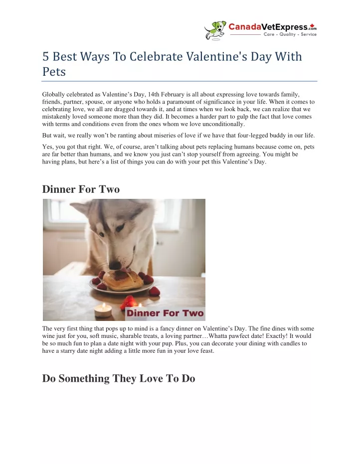5 best ways to celebrate valentine s day with pets