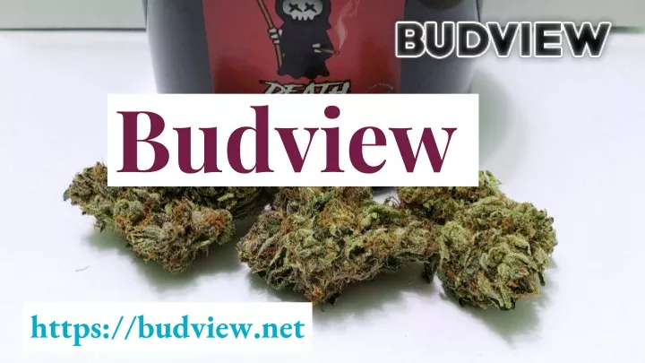 budview