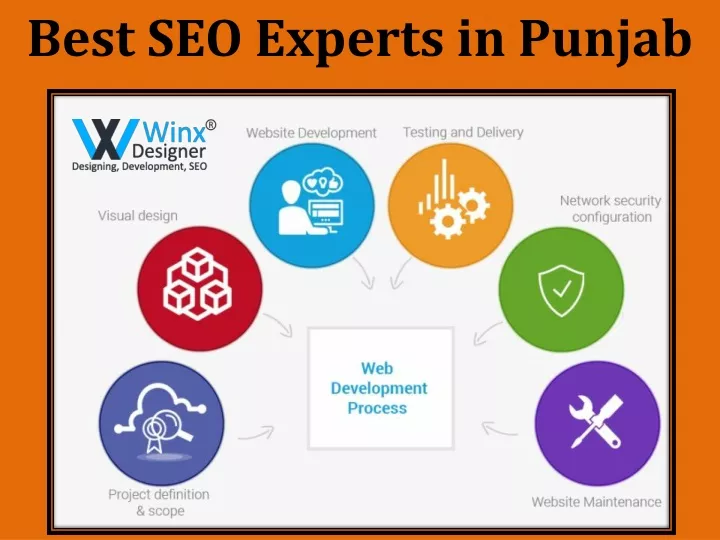 best seo experts in punjab