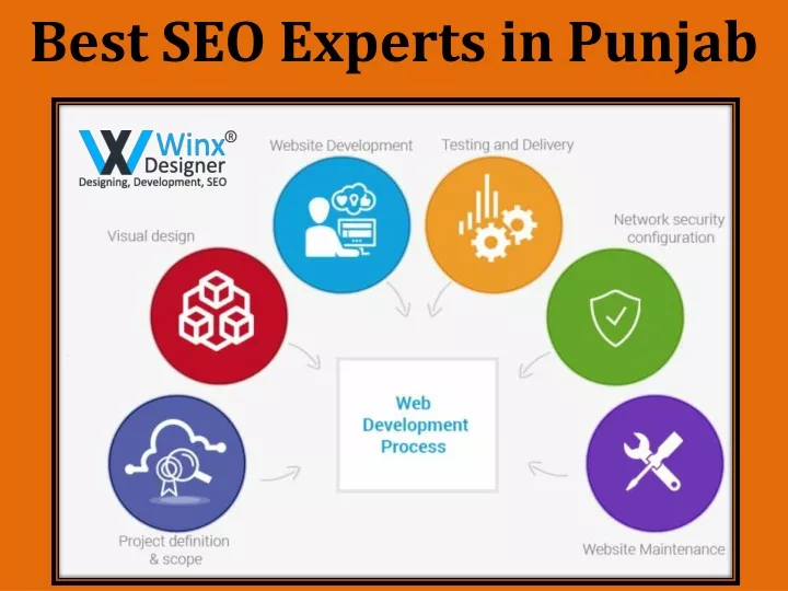 best seo experts in punjab