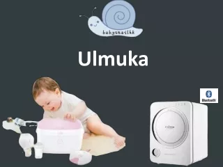 Ulmuka | Baby snailHK