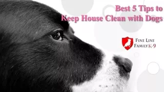 Best 5 Tips to Keep House Clean with Dog