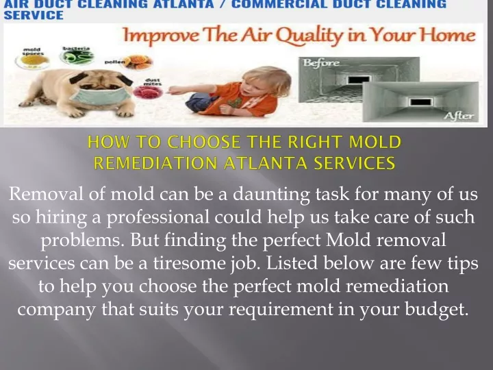 how to choose the right mold remediation atlanta services