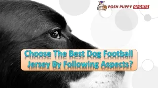 Choose The Best Dog Football Jersey By Following Aspects?