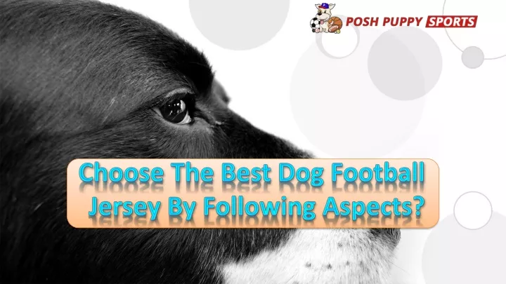 choose the best dog football jersey by following aspects