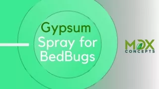 MDX Concepts Gypsum Spray for Bed  Bugs