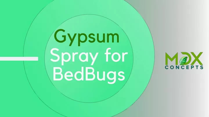 gypsum spray for bedbugs