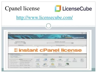 Cpanel license