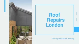 Roof Repairs London | Roofer London | Roofing and General Building