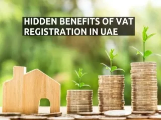 Hidden Benefits Of VAT Registration In UAE