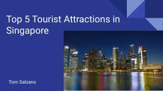 Top 5 Tourist Attractions in Singapore: Tom Salzano