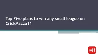 Top Five plans to win any small league on CrickMazza11