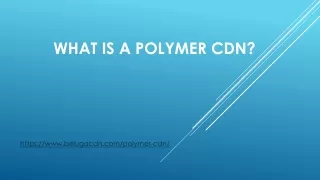 What is Polymer CDN | belugaCDN