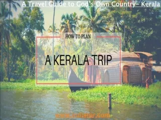 A Travel Guide to God’s Own Country- Kerala