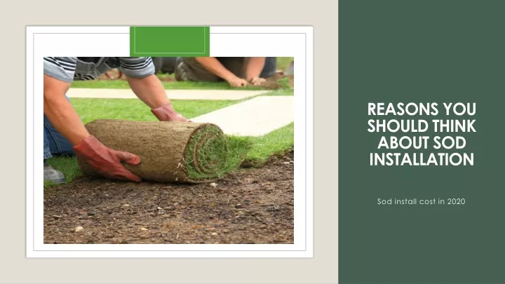 reasons you should think about sod installation