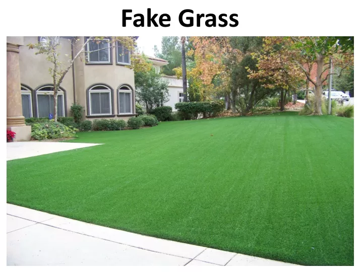 fake grass