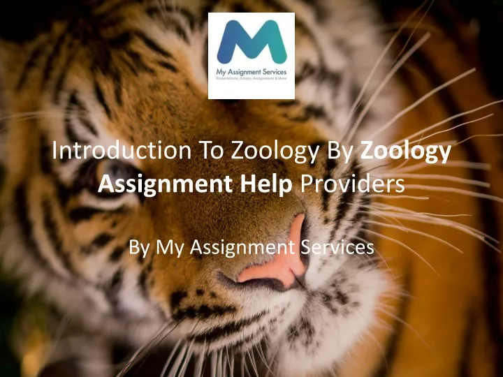 introduction to zoology by zoology assignment help providers