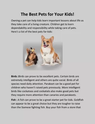 The Best Pets for Your Kids!