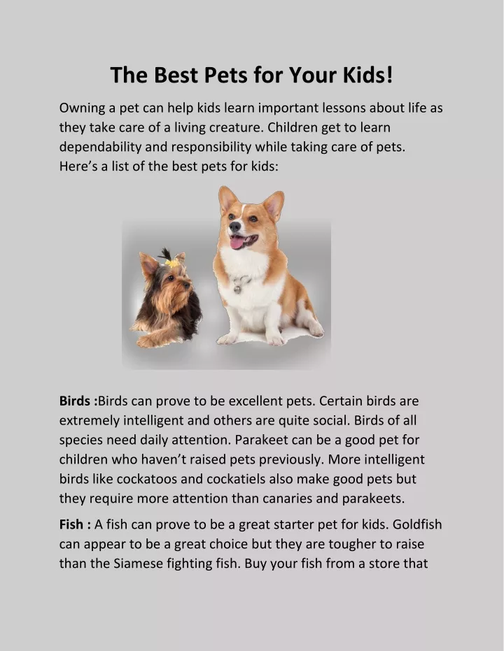 the best pets for your kids