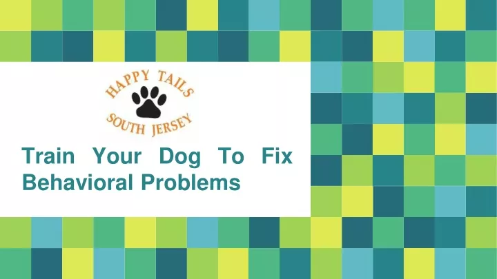 train your dog to fix behavioral problems