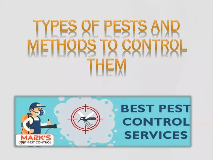 types of pests and methods to control them