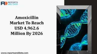 Amoxicillin Market 2019: Industry Challenges and Opportunities to 2026