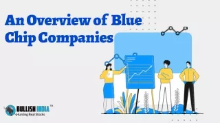An overview of Blue Chip Companies