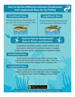 Fly Fishing for Smallmouth Bass in Lakes & Rivers [Infographic]