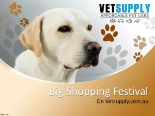 Big Discount!!Buy Pet Supplies, Food & Accessories Online