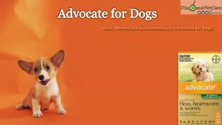 Buy Advocate for Dogs at best price in Australia - Fleas,Ticks and Worms Treatment
