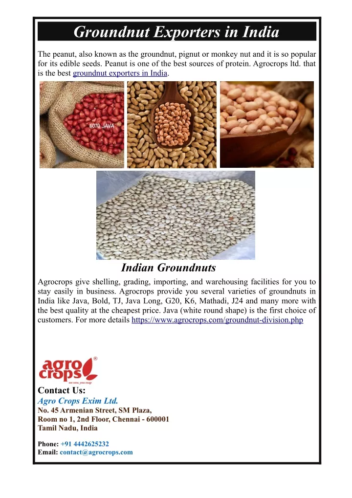 groundnut exporters in india