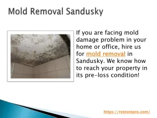 Mold Removal Sandusky