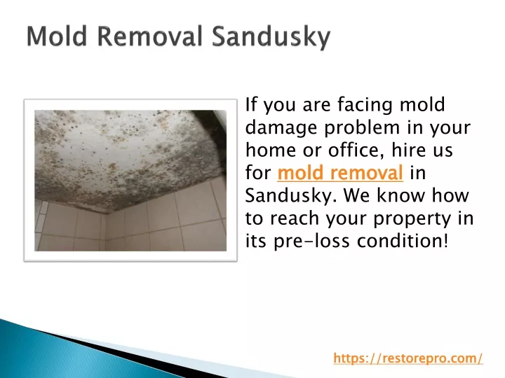 mold removal sandusky