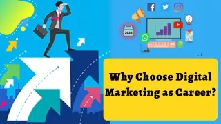 Why Choose Digital Marketing as Career?