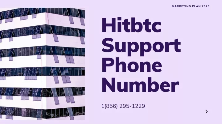 hitbtc support phone number