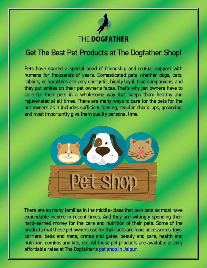 get the best pet products at the dogfather shop
