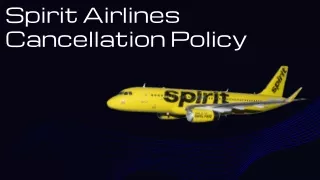 Easy Refunds & Hassle-Free Cancellations with Spirit Airlines Cancellation Policy