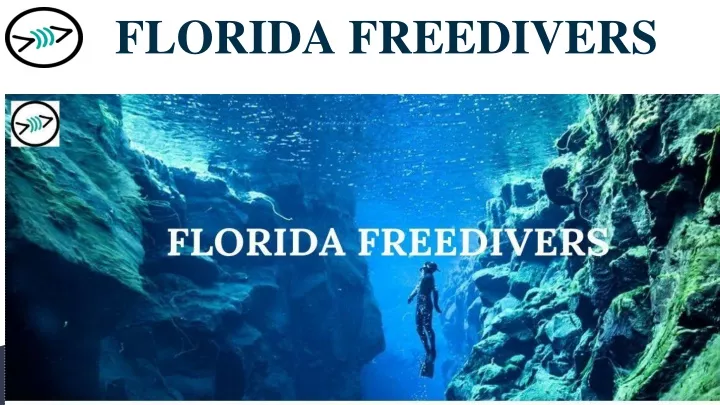 florida freedivers
