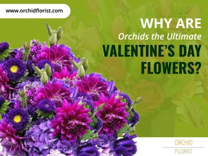 why are orchids the ultimate valentine s day flowers