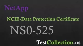 Excellent Tips to Overcome NetApp Certified Implementation Engineer, Data Protect Challenges and Pass with NS0-525 Test