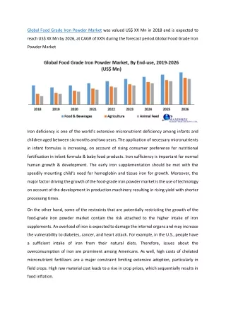 Global Food Grade Iron Powder Market