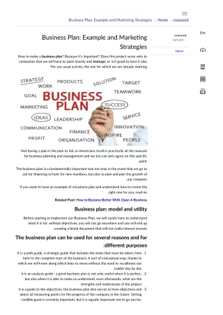 Business Plan: Example and Marketing Strategies
